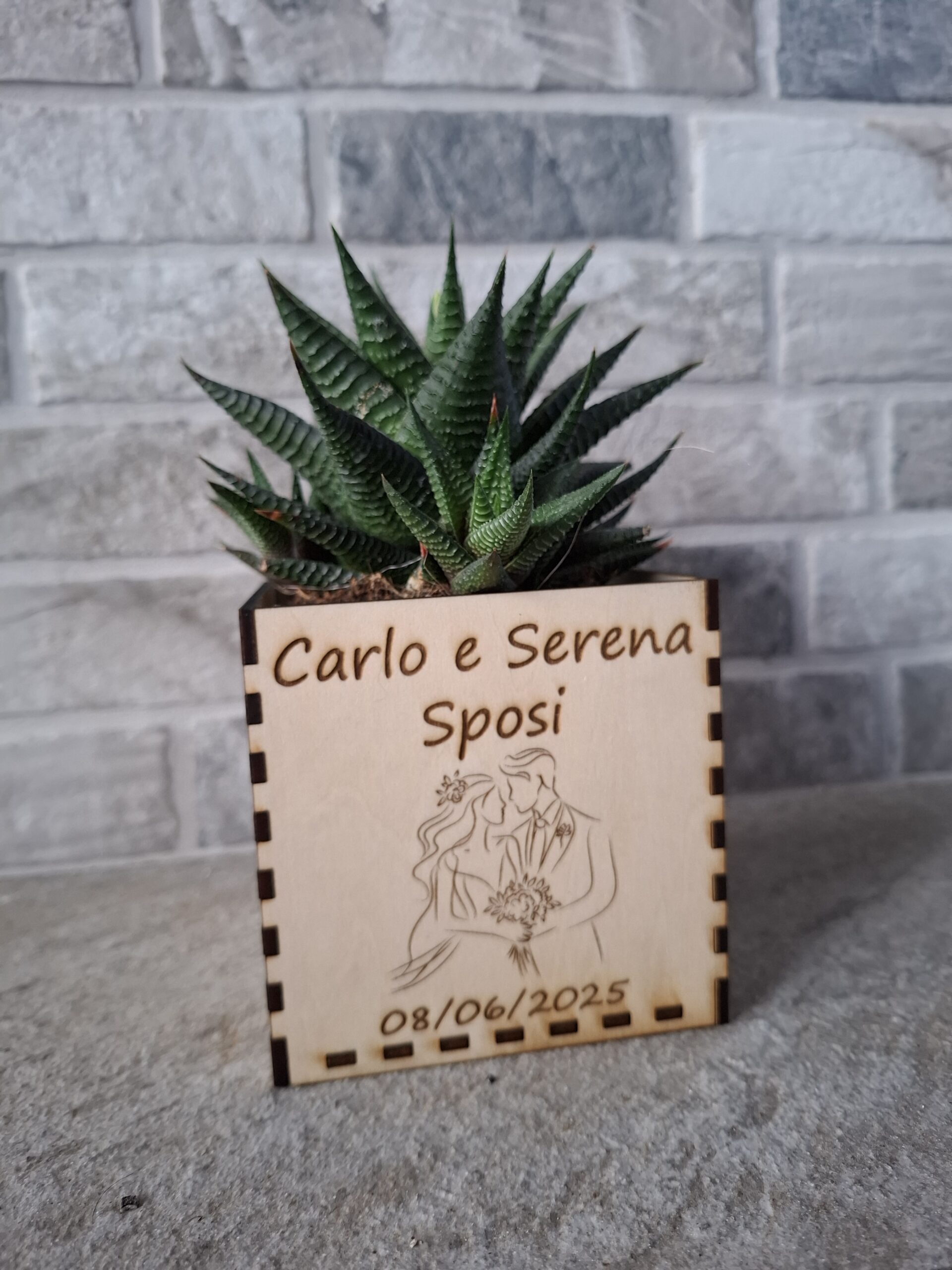 Vaso in legno per piantine