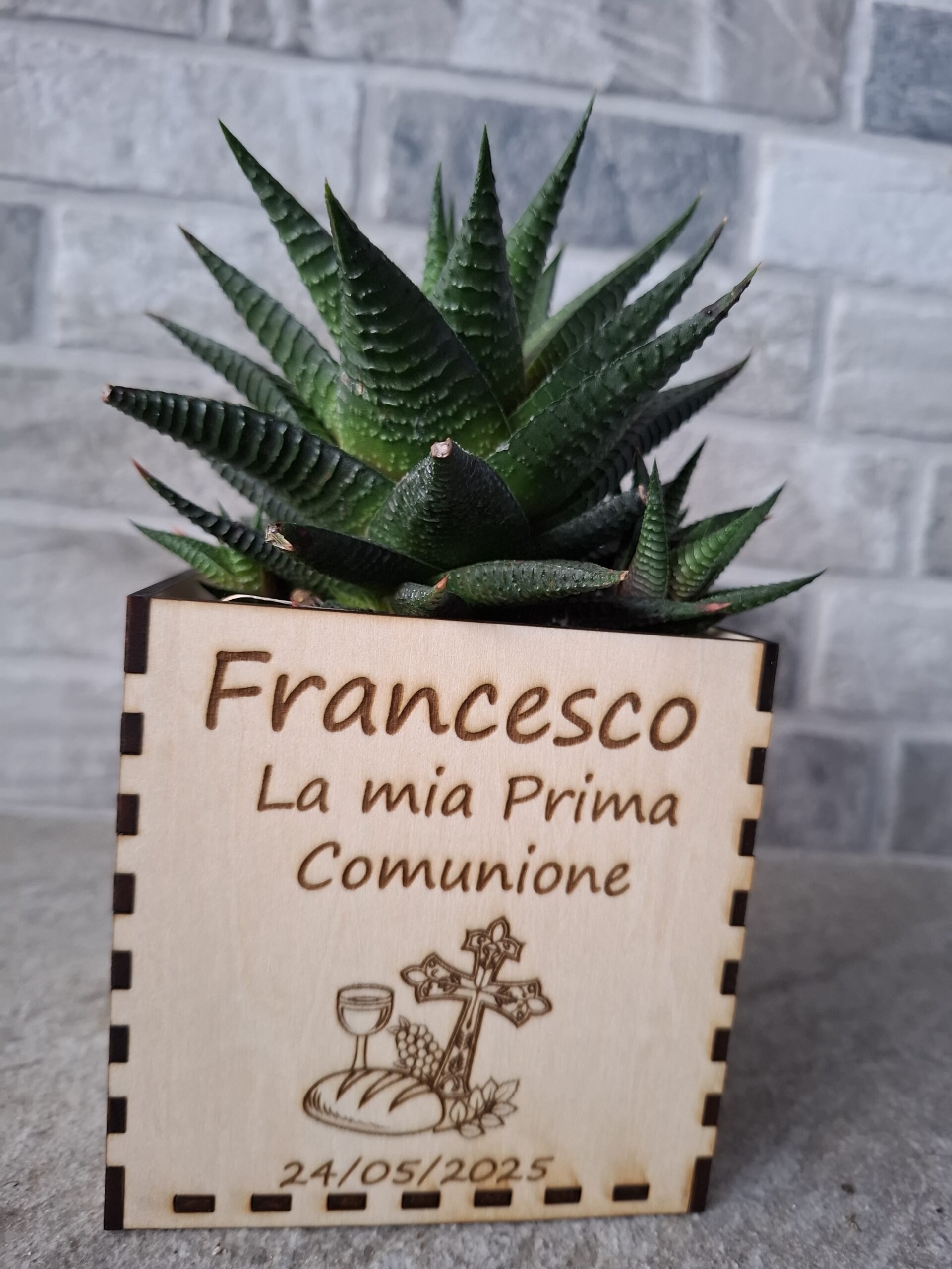 Vaso in legno per piantine