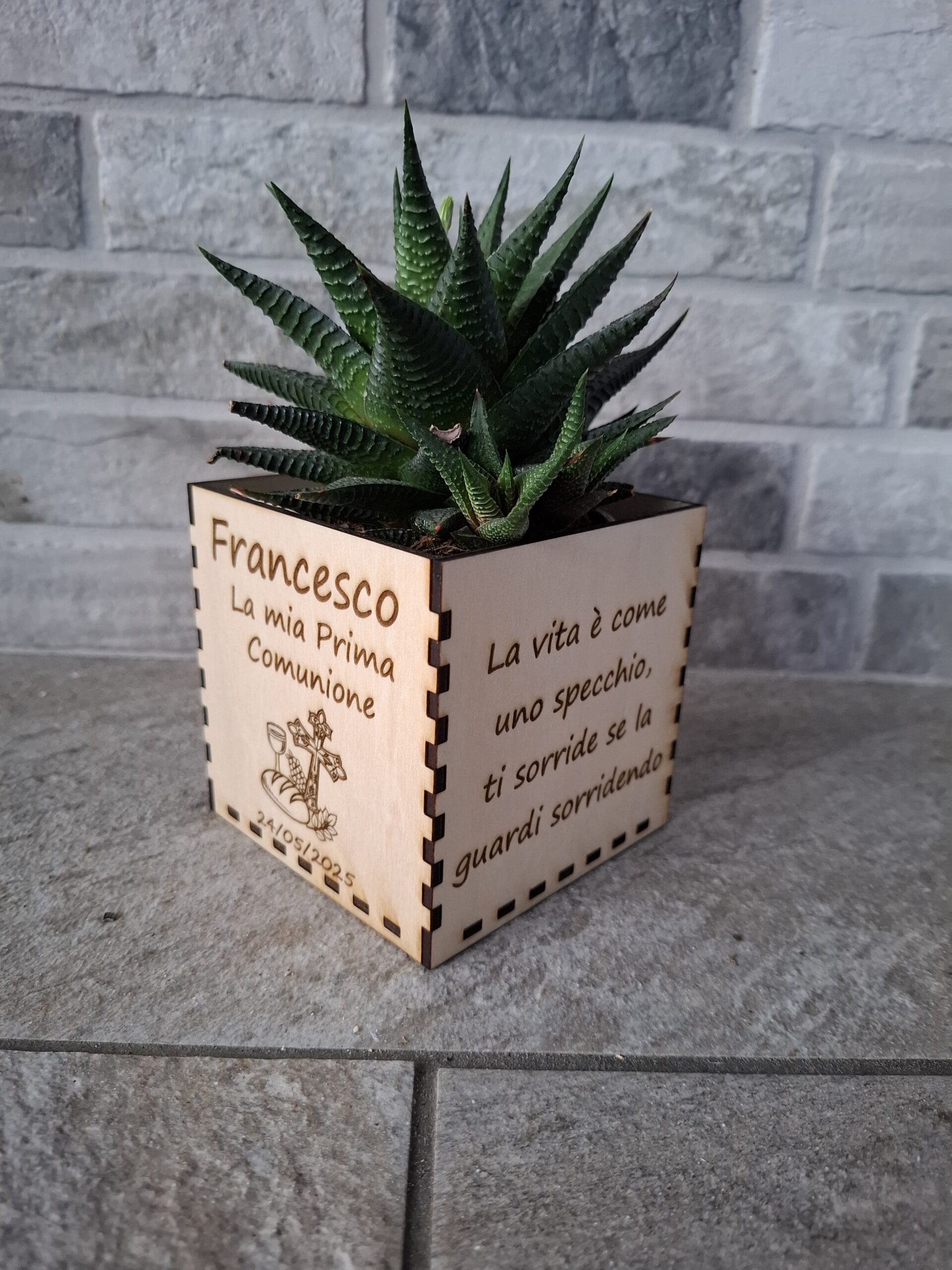 Vaso in legno per piantine