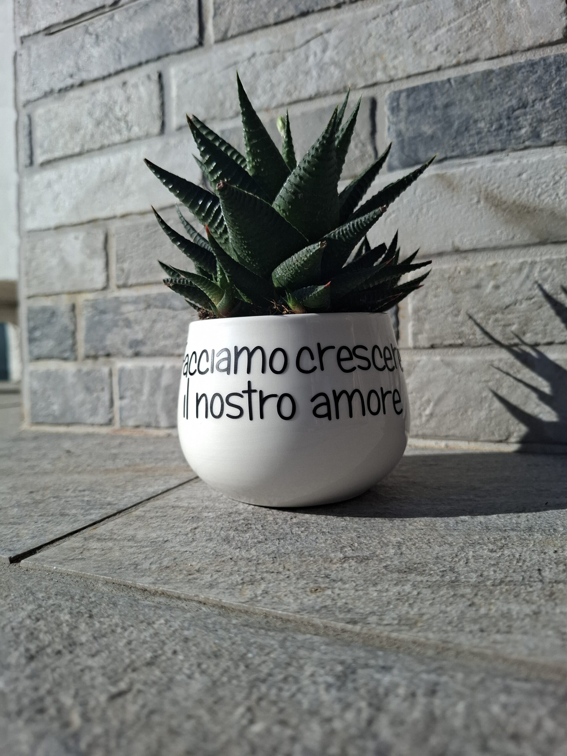 Vaso per piantine personalizzato con frase