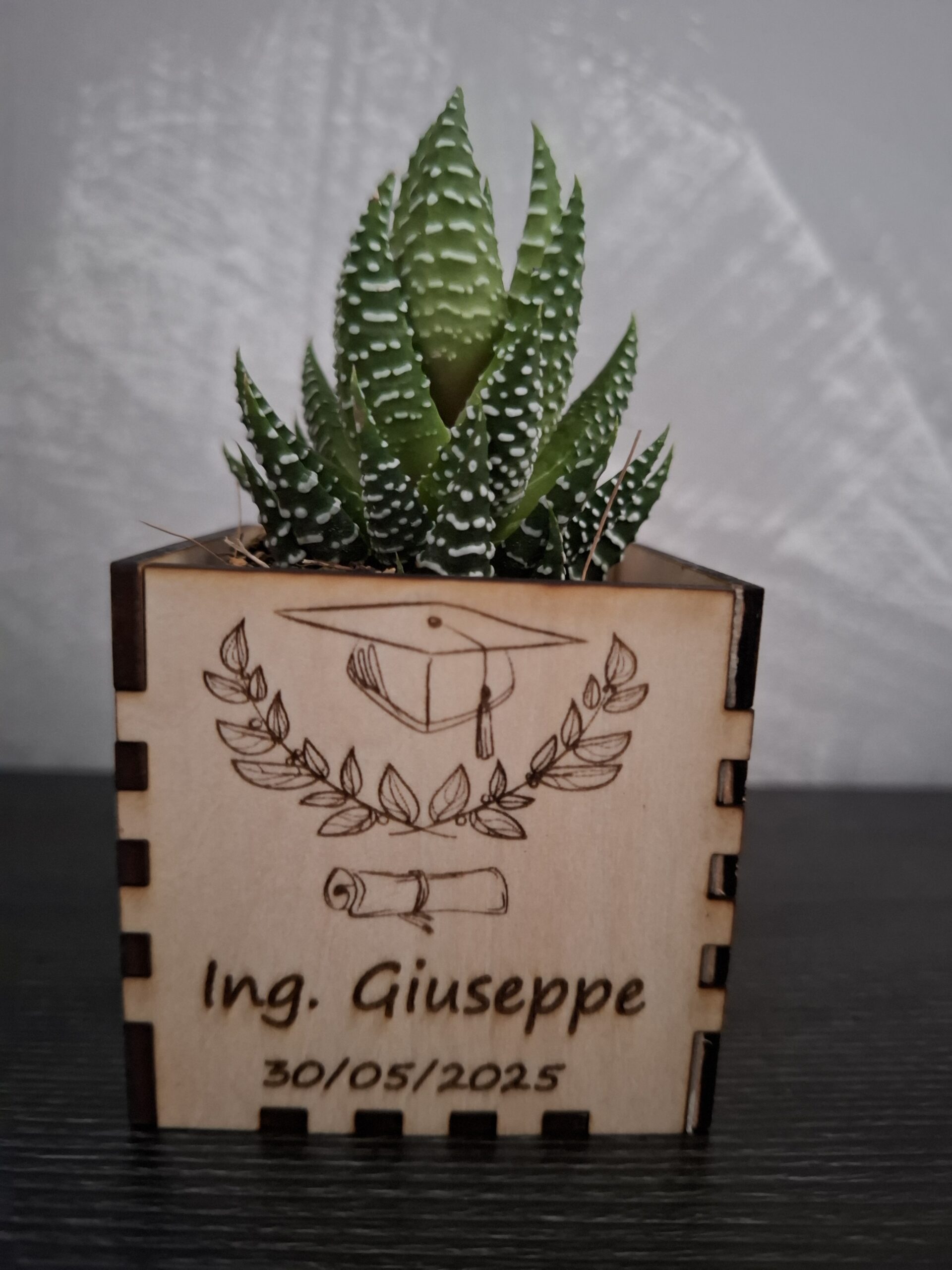 Vaso piccolo per piantina