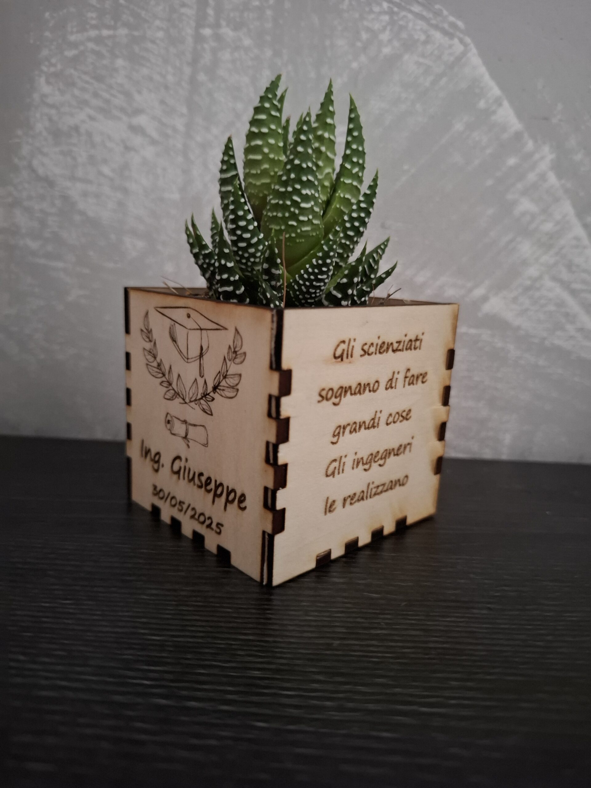 Vaso piccolo per piantina