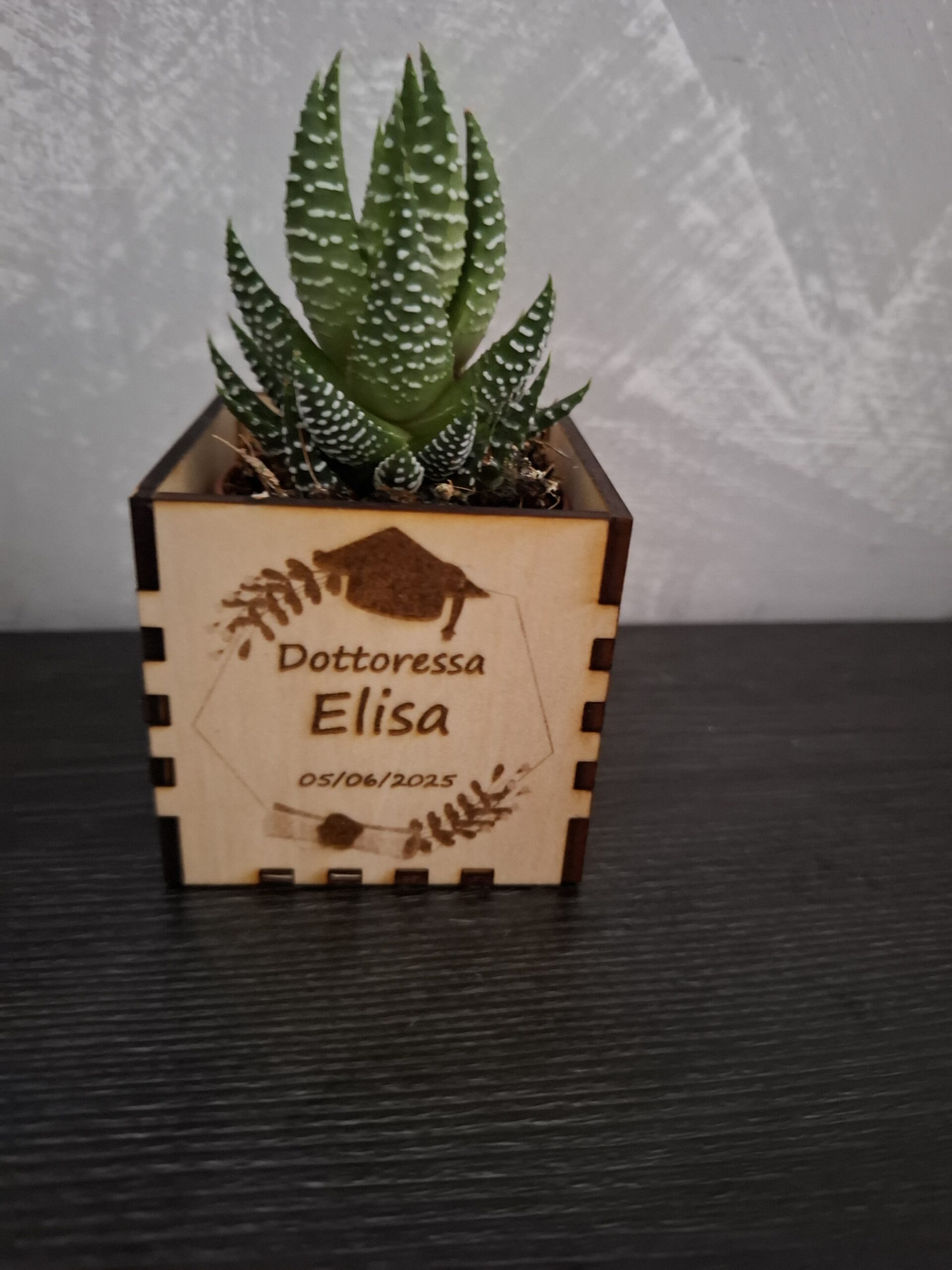 Vaso piccolo per piantina