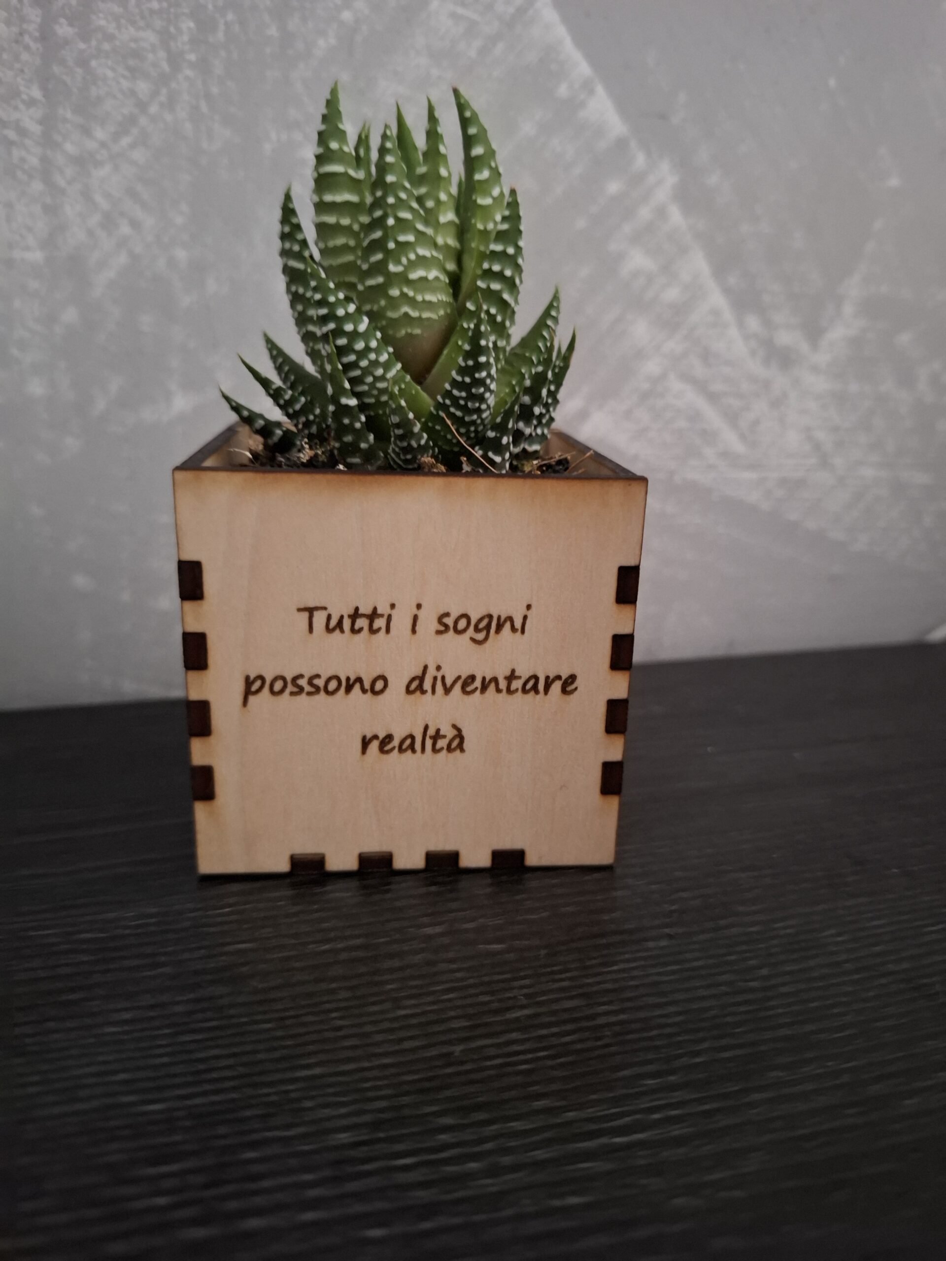 Vaso piccolo per piantina