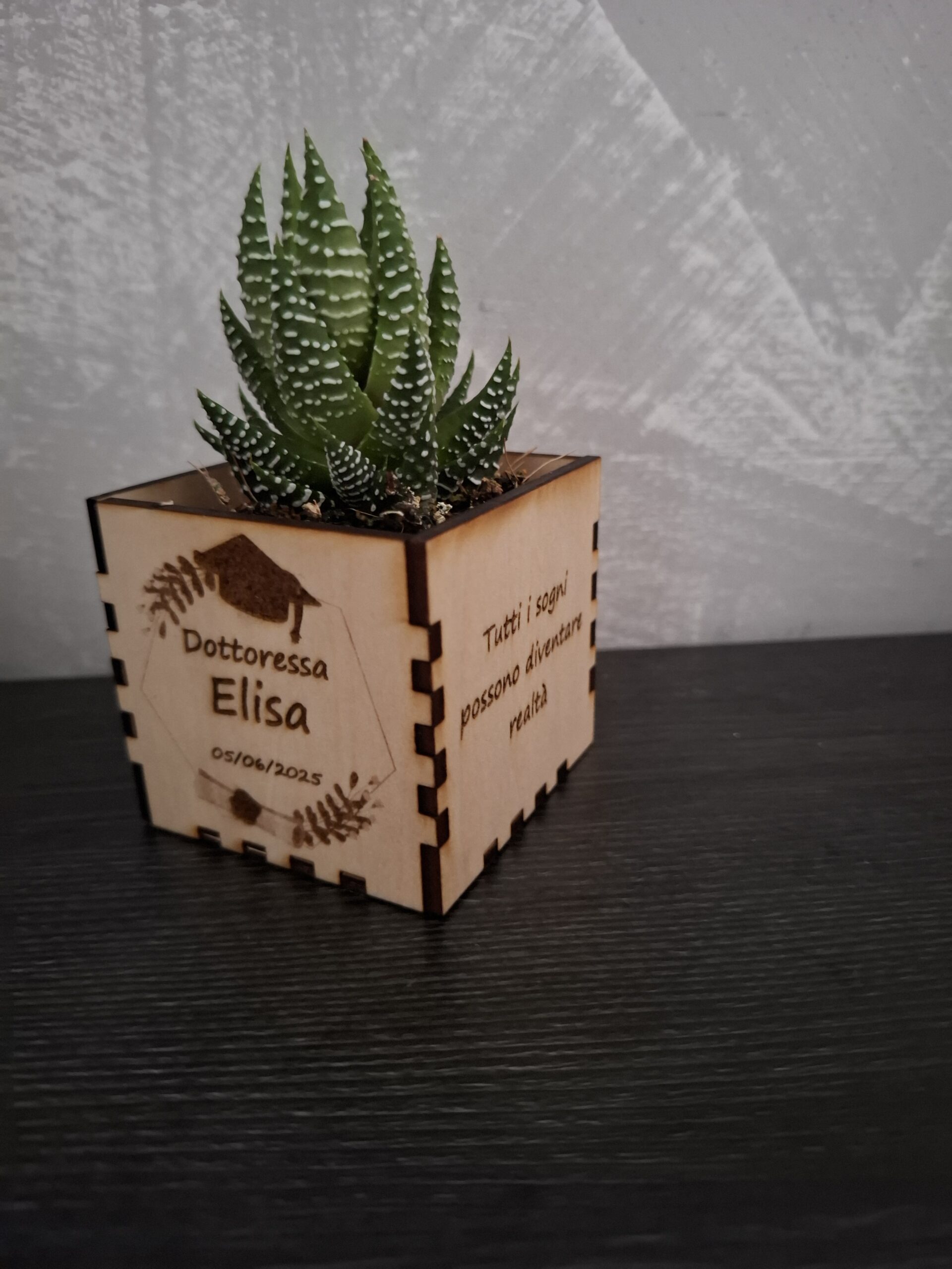 Vaso piccolo per piantina